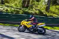 cadwell-no-limits-trackday;cadwell-park;cadwell-park-photographs;cadwell-trackday-photographs;enduro-digital-images;event-digital-images;eventdigitalimages;no-limits-trackdays;peter-wileman-photography;racing-digital-images;trackday-digital-images;trackday-photos